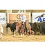 Classic Equine Legacy2 White Support Boots