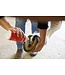 Hoof Doctor EquiDust Hoof Powder