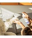 Skout's Honor Probiotic Paw Spray