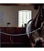 Kentucky Horsewear Cross Ties en Silicone