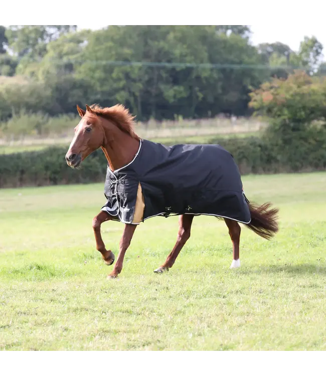Shires Equestrian Highlander Plus 200g Turnout Winter Rug