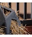 Kentucky Horsewear Relax Horse Play & Hay Ball
