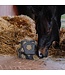 Kentucky Horsewear Relax Horse Play & Hay Ball