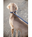 Kentucky Dogwear Laisse Fancy Plaited en Nylon Marine