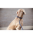 Kentucky Dogwear Laisse Fancy Plaited en Nylon Marine