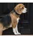Kentucky Dogwear Collier Fancy Plaited en Nylon Marine