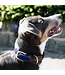 Kentucky Dogwear Collier Fancy Plaited en Nylon Marine
