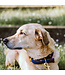 Kentucky Dogwear Collier Fancy Plaited en Nylon Marine
