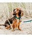 Kentucky Dogwear Dog Harness Loop Emerald Velvet