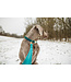 Kentucky Dogwear Dog Harness Loop Emerald Velvet