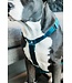 Kentucky Dogwear Dog Harness Loop Emerald Velvet