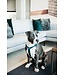 Kentucky Dogwear Dog Harness Loop Emerald Velvet