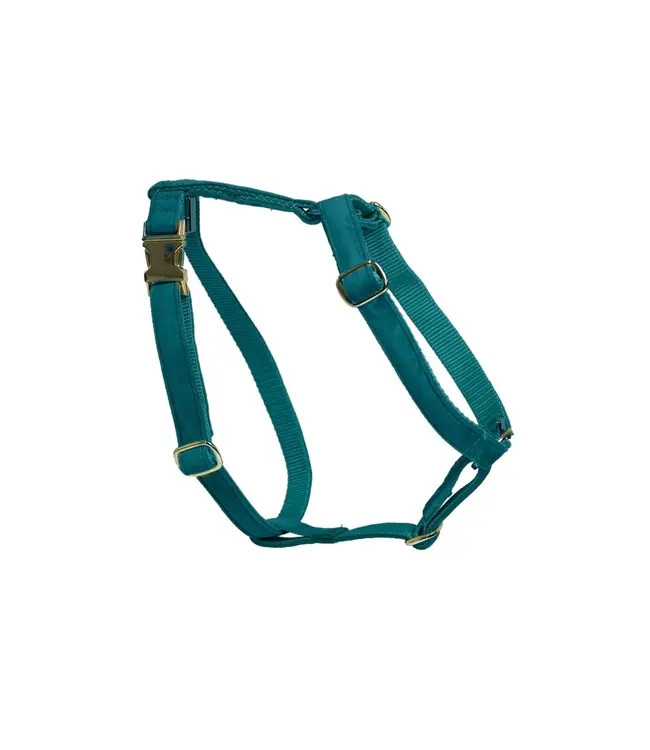 Kentucky Dogwear Dog Harness Loop Emerald Velvet