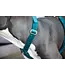 Kentucky Dogwear Dog Harness Loop Emerald Velvet
