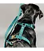 Kentucky Dogwear Dog Harness Loop Emerald Velvet