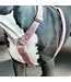Kentucky Dogwear Dog Harness Loop Old Rose Velvet