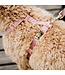 Kentucky Dogwear Harnais Classy Loop Velvet Old Rose