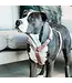 Kentucky Dogwear Dog Harness Loop Old Rose Velvet