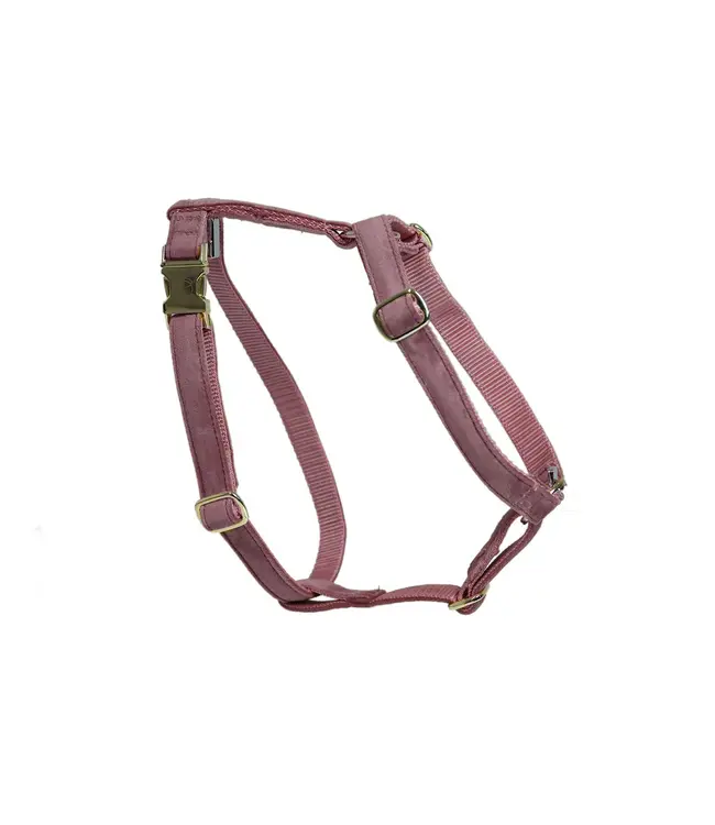 Kentucky Dogwear Harnais Classy Loop Velvet Old Rose