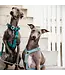 Kentucky Dogwear Dog Harness Loop Emerald Velvet