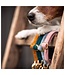 Kentucky Dogwear Collier Classy Velvet pour Chien Old Rose