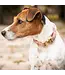 Kentucky Dogwear Collier Classy Velvet pour Chien Old Rose