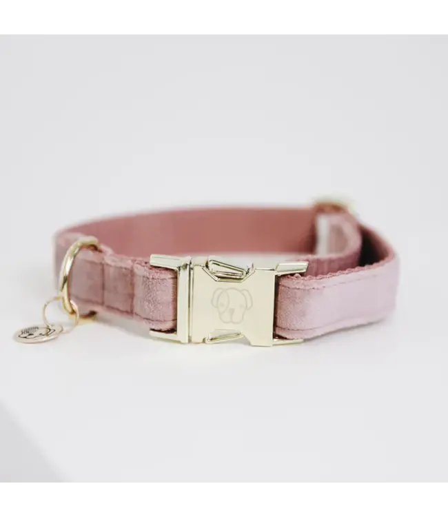 Kentucky Dogwear Dog Old Rose Collar Velvet