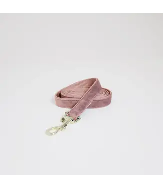 Kentucky Dogwear Laisse Classy Loop Velvet Old Rose