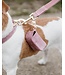 Kentucky Dogwear Laisse Classy Loop Velvet Old Rose