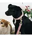 Kentucky Dogwear Laisse Classy Loop Velvet Old Rose