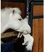 Kentucky Horsewear Relax Horse Toys
