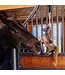 Kentucky Horsewear Peluches Relax pour Chevaux