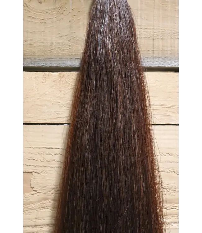 Champion Tails Double Horse Tail Extension 32 in Dark Red Chestnut