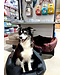 BR Equestrian Lit High Comfort pour Chien
