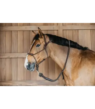 Dy'on Rope training halter