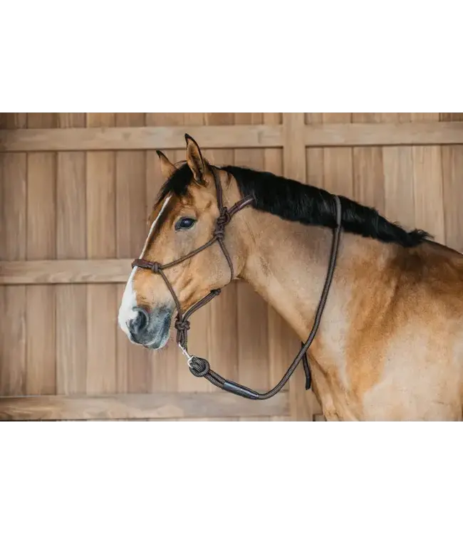 Dy'on Rope training halter