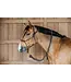 Dy'on Rope training halter