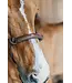 Dy'on Rope training halter