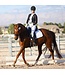 Ogilvy Equestrian Tapis FrictionFree Dressage Blanc
