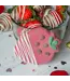 Bosco & Roxy's Biscuit Artisanal St-Valentin Strawberry