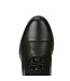 Ariat Heritage IV Paddock Boots - Women's