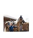BR Equestrian Midnight Navy Mini Horse Saddle Pad