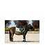 BR Equestrian Bottes Majestic pour mini Feldspar