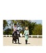 BR Equestrian Cadet Mini Horse Ear Bonnet