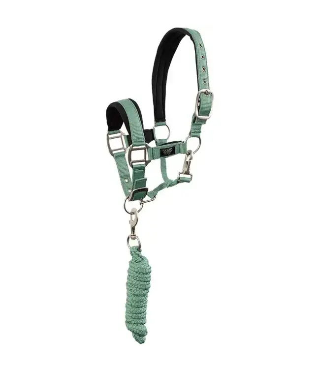 BR Equestrian Feldspar Mini Horse Halter and Lead kit