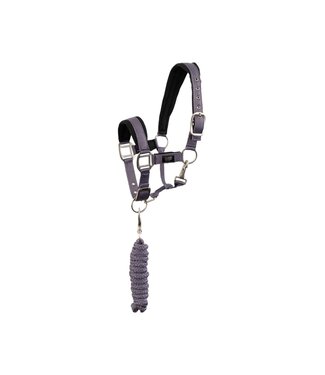 BR Equestrian Ensemble licou et laisse pour mini Cadet