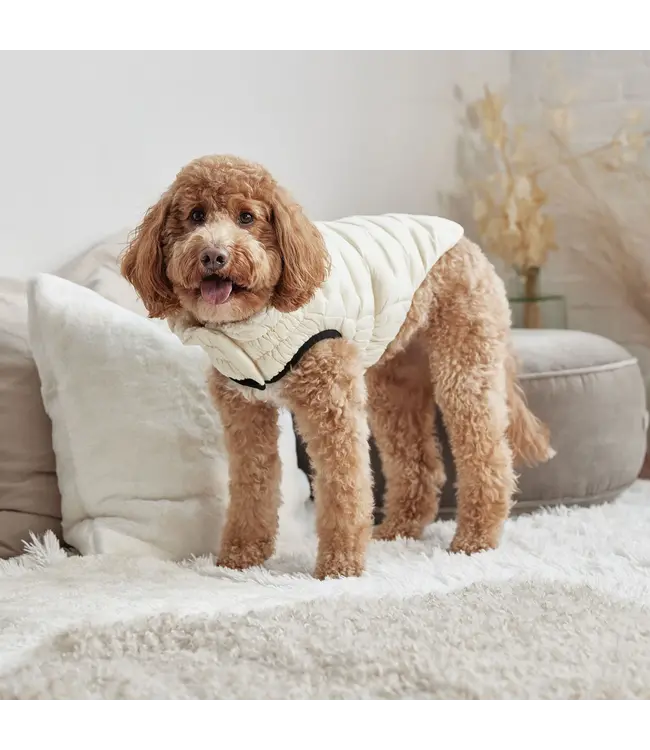 GF PET Cloud Dog Sand Parka