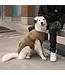 Canada Pooch Cool Factor Puffer Tan Jacket