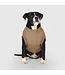 Canada Pooch Cool Factor Puffer Jacket d'Hiver Tan