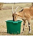 FARM INNOVATORS Seau Chauffant pour Animaux